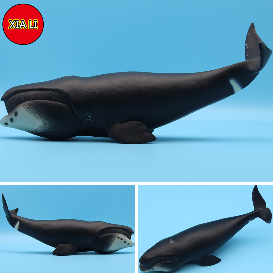 Игровые фигурки морских животн – обзор и цена Marine Life Aquariums