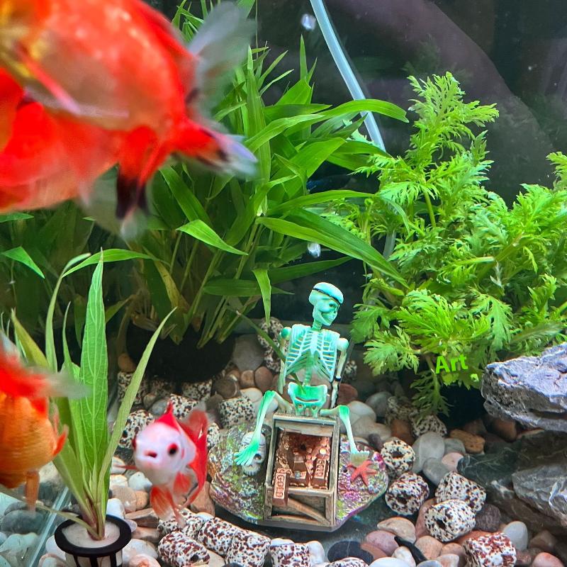 Аквариум, аэробный пейзаж, пуз – обзор и цена Marine Aquarium Aquascape