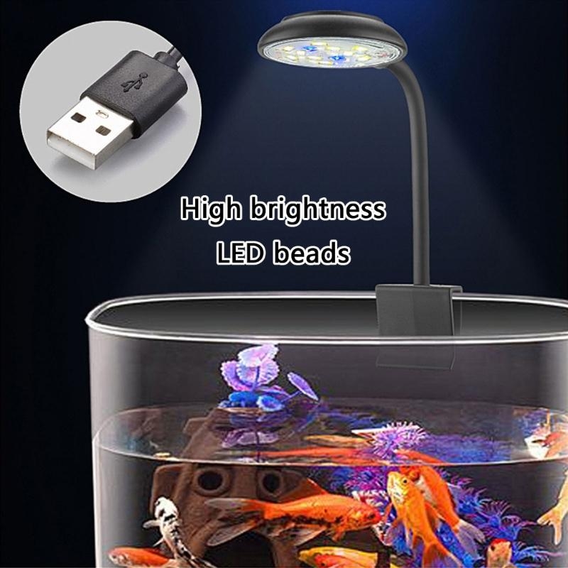 Регулировка яркости светодиодн – обзор и цена Marine Life Aquariums