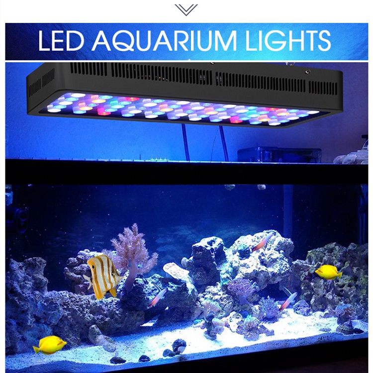 BT беспроводное управление DIY – обзор и цена Marine Aquarium Used